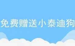 免费赠送小泰迪狗