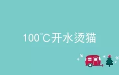 100℃开水烫猫