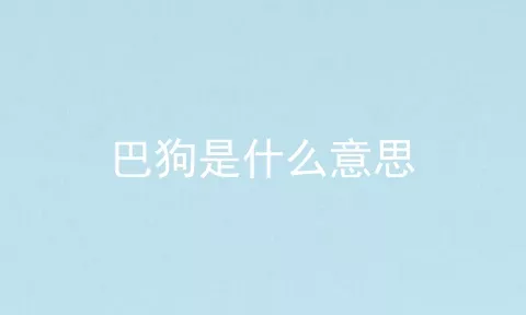 巴狗是什么意思