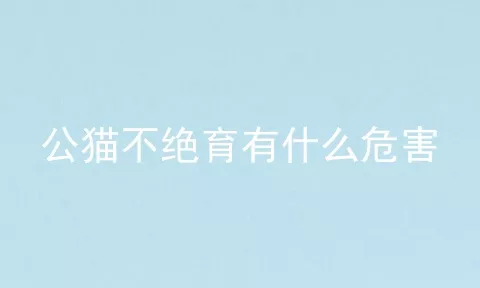 公猫不绝育有什么危害