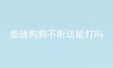 泰迪狗狗不听话能打吗