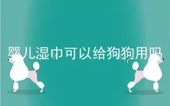 婴儿湿巾可以给狗狗用吗