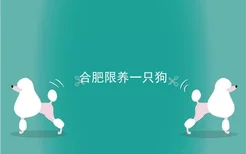 合肥限养一只狗