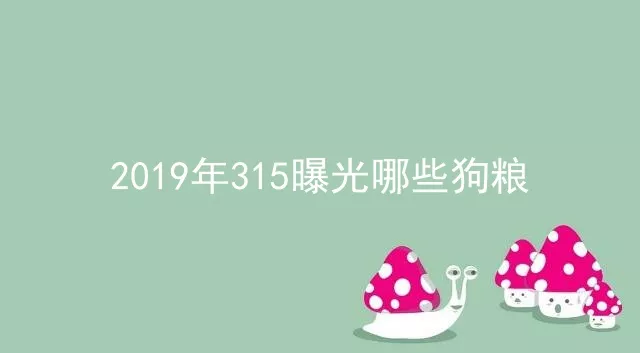 2019年315曝光哪些狗粮