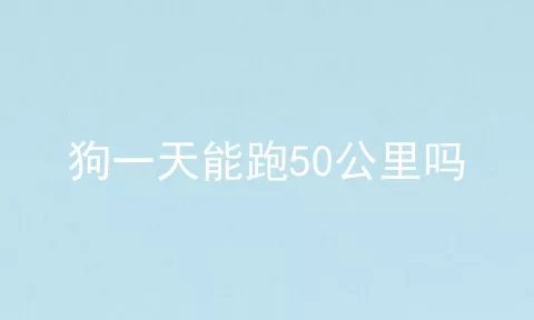 狗一天能跑50公里吗