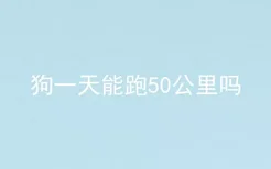 狗一天能跑50公里吗