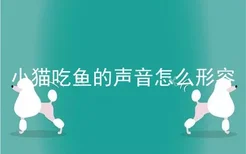 小猫吃鱼的声音怎么形容