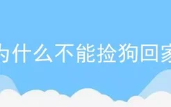 为什么不能捡狗回家