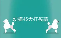 幼猫45天打疫苗