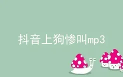 抖音上狗惨叫mp3