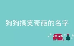 狗狗搞笑奇葩的名字