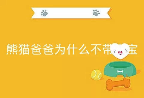 熊猫爸爸为什么不带宝宝