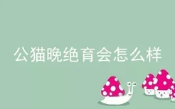 公猫晚绝育会怎么样