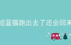 英短蓝猫跑出去了还会回来吗