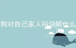 狗对自己家人叫说明什么