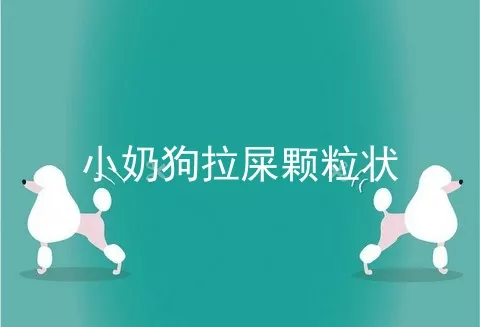 小奶狗拉屎颗粒状