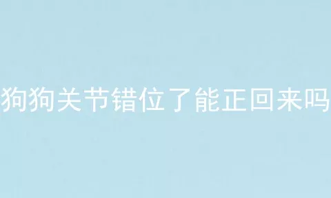 狗狗关节错位了能正回来吗