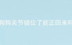 狗狗关节错位了能正回来吗