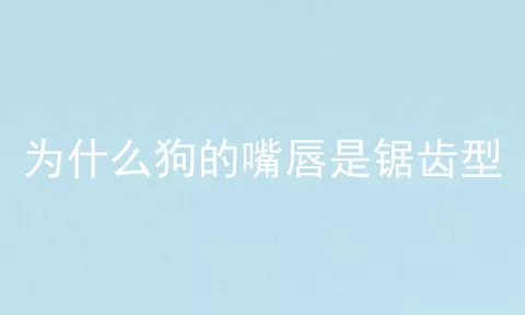 为什么狗的嘴唇是锯齿型