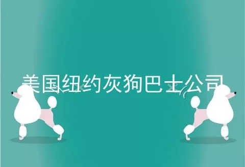 美国纽约灰狗巴士公司