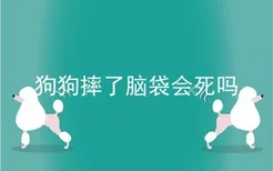 狗狗摔了脑袋会死吗