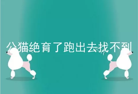 公猫绝育了跑出去找不到