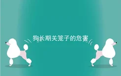 狗长期关笼子的危害