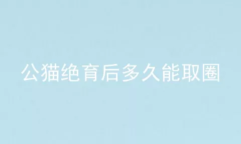 公猫绝育后多久能取圈