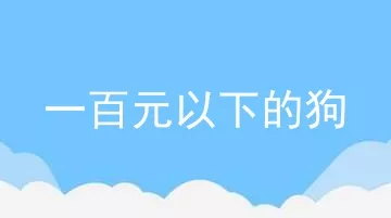 一百元以下的狗