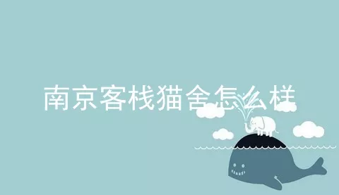 南京客栈猫舍怎么样