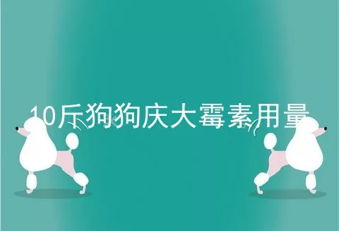 10斤狗狗庆大霉素用量