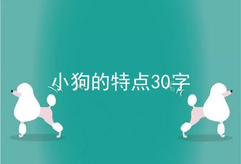 小狗的特点30字