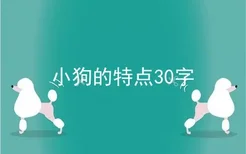 小狗的特点30字