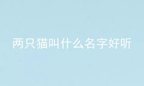 两只猫叫什么名字好听