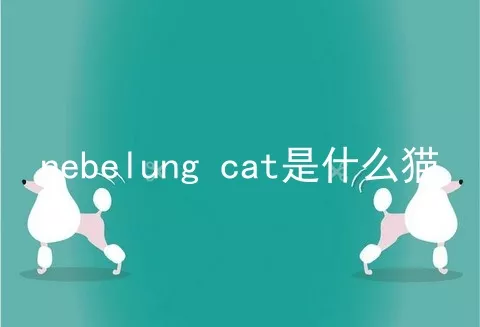 nebelung cat是什么猫