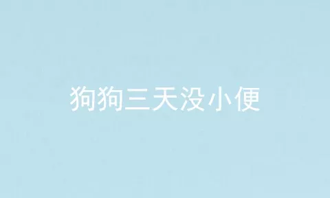 狗狗三天没小便