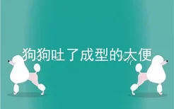 狗狗吐了成型的大便