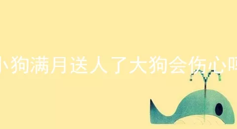 小狗满月送人了大狗会伤心吗