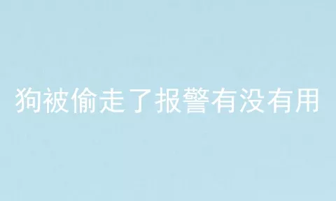 狗被偷走了报警有没有用