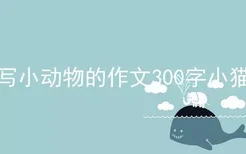 写小动物的作文300字小猫