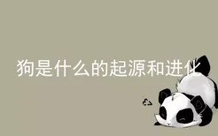 狗是什么的起源和进化