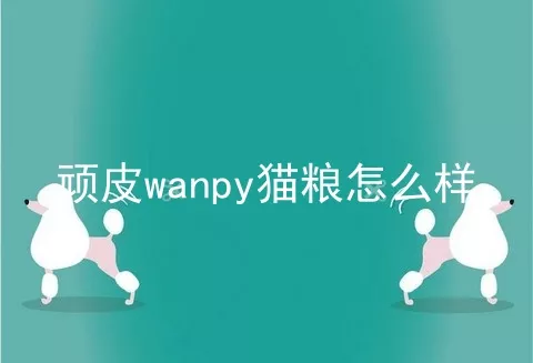 顽皮wanpy猫粮怎么样