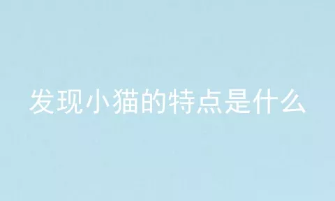 发现小猫的特点是什么