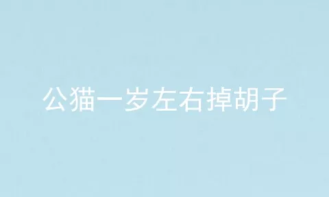 公猫一岁左右掉胡子