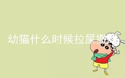 幼猫什么时候拉屎撒尿