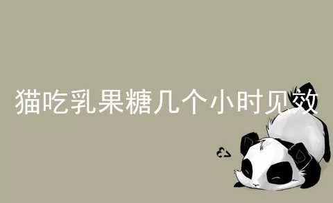 猫吃乳果糖几个小时见效