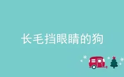 长毛挡眼睛的狗