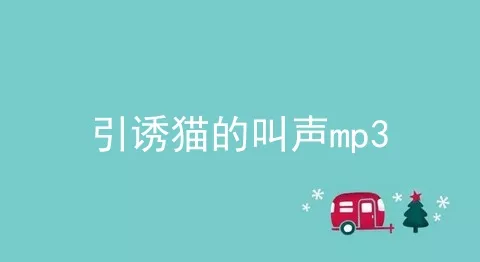 引诱猫的叫声mp3