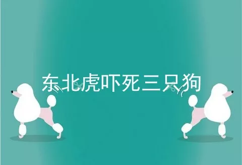 东北虎吓死三只狗