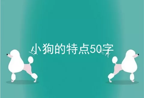 小狗的特点50字